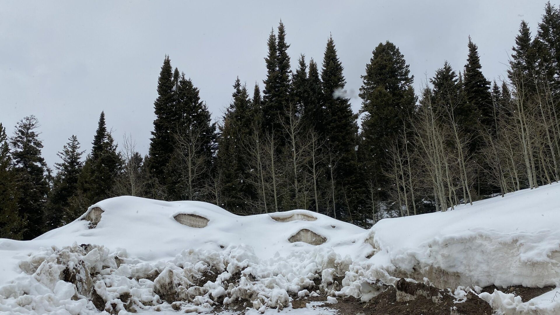 Snow Banks